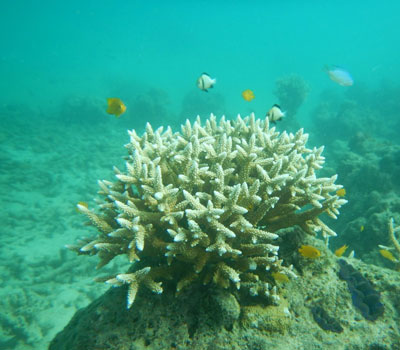 Andaman Overview