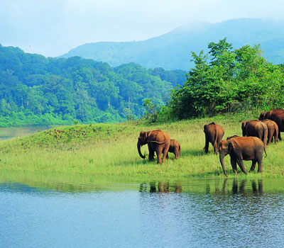 Kerala Overview