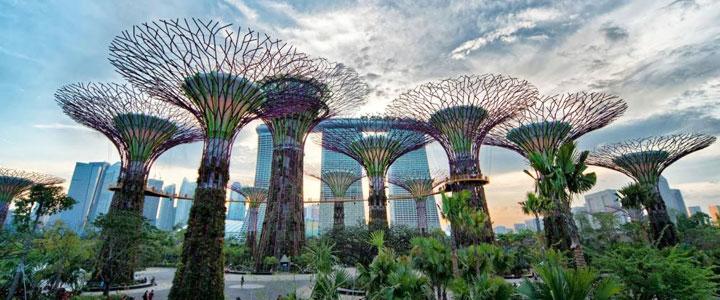 Gardens by the Bay