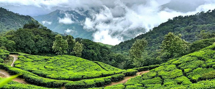 Munnar