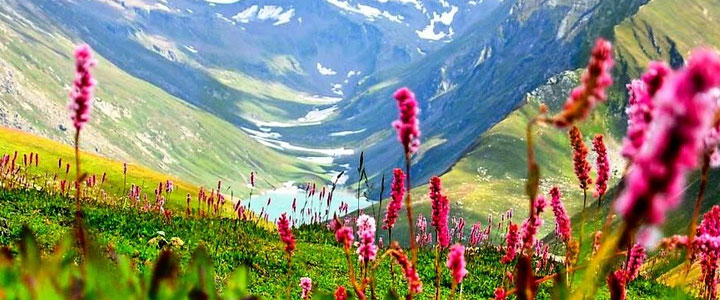 Valley of Flowers