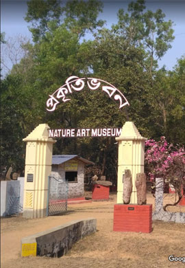 Museum Visit